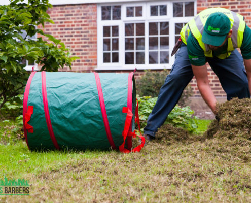 Garden Maintenance Project in Tooting Bec SW17