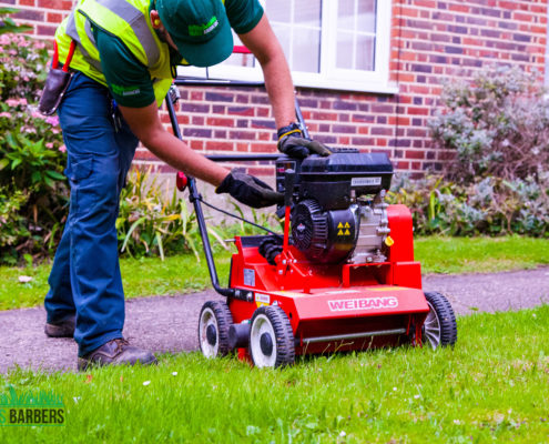 Garden Maintenance Project in Tooting Bec SW17