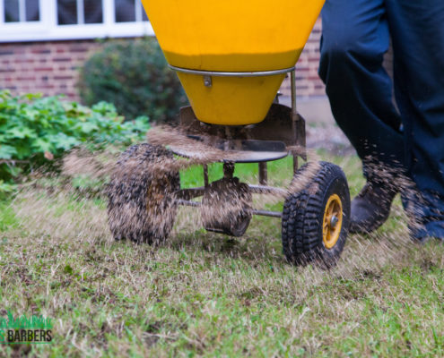 Garden Maintenance Project in Tooting Bec SW17