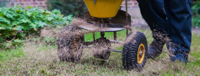 Garden Maintenance Project in Tooting Bec SW17