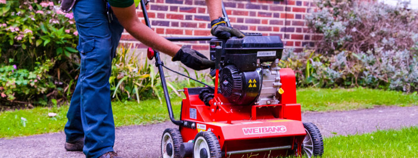 Garden Maintenance Project in Tooting Bec SW17