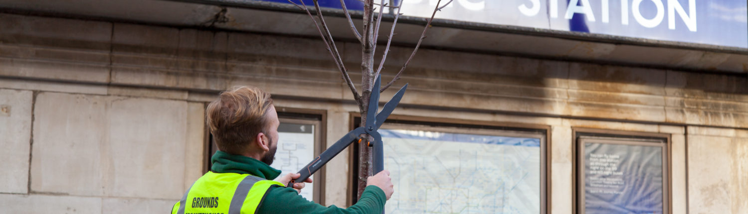 Grass Barbers Gardening in Tooting