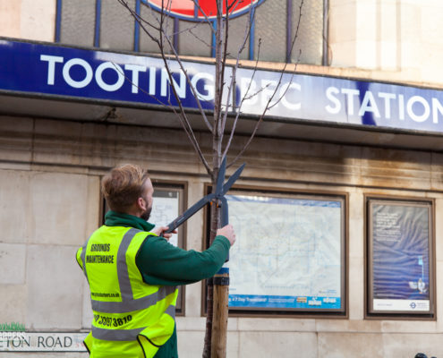 Grass Barbers Gardening in Tooting