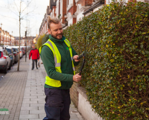 Grass Barbers Gardening in Tooting