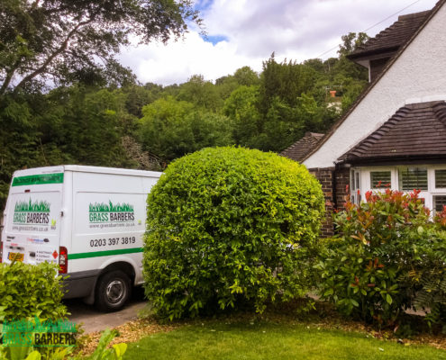 Grass Cutting Project in South Croydon CR2