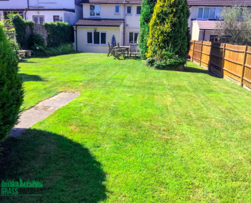 Grass Cutting and Gardening Project in Selsdon CR2