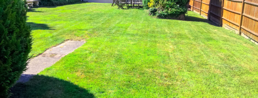 Grass Cutting and Gardening Project in Selsdon CR2