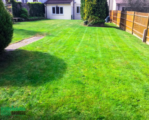 Grass Cutting and Gardening Project in Selsdon CR2