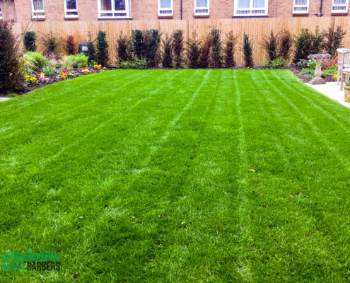 Grounds Maintenance of Retirement Development Project in Sidcup DA14