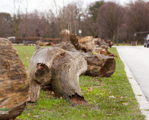 grassbarbers - gardening services in streatham and surrey