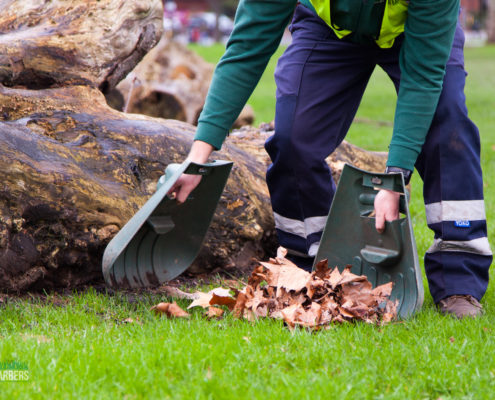 grassbarbers - gardening services in streatham and surrey