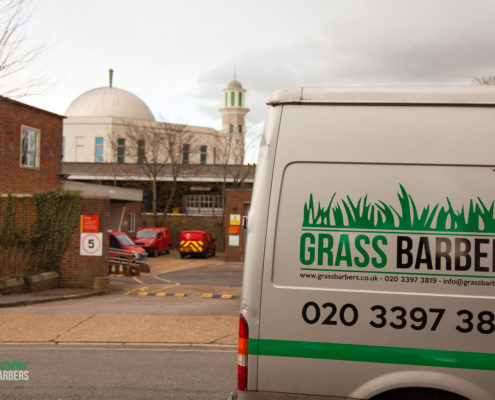 grassbarbers - gardening services in morden london surrey