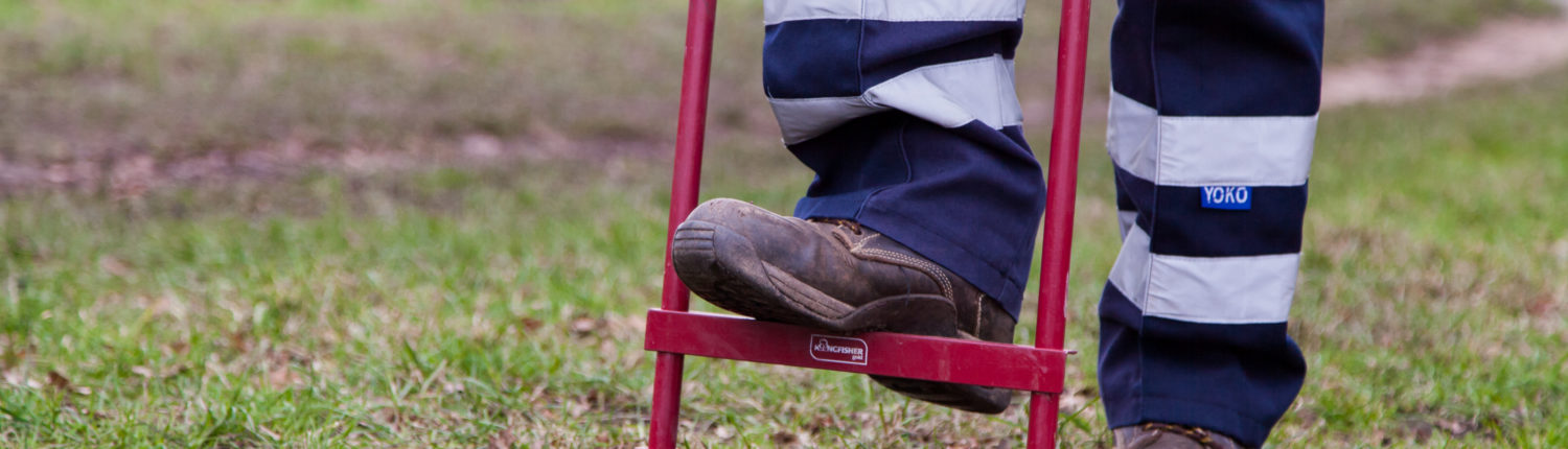 Gardening Service in Wimbledon by Grass Barbers