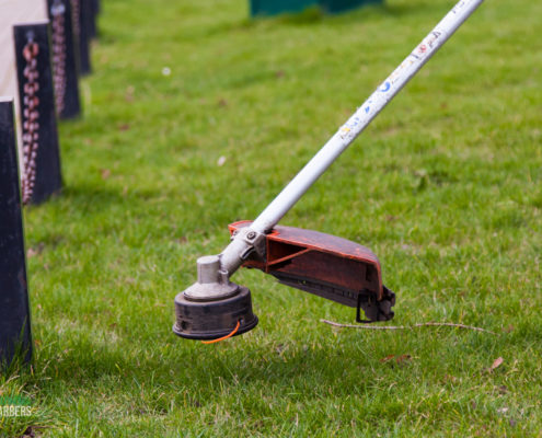 Gardening Service in Wimbledon by Grass Barbers