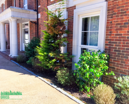 Garden maintenance services in Oxshott KT22