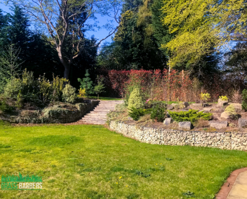 Garden maintenance services in Oxshott KT22