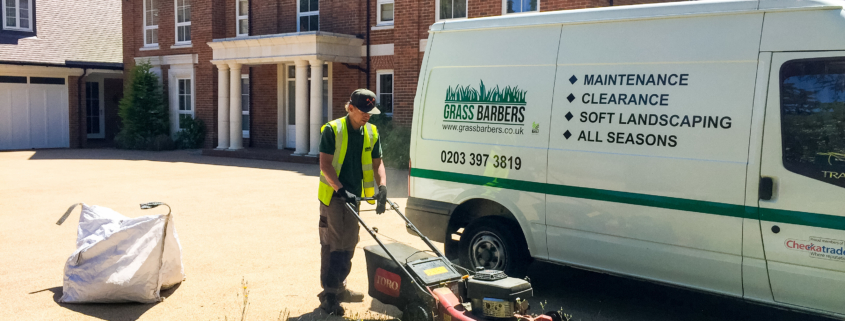 Garden maintenance services in Oxshott KT22