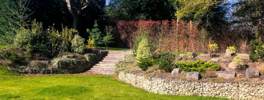 Garden maintenance services in Oxshott KT22