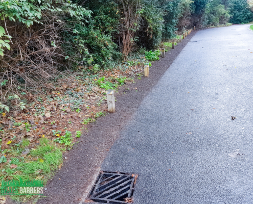 Commercial Grounds Maintenance Project in Richmond TW10