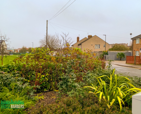 Landscape Maintenance Project in Mitcham CR4