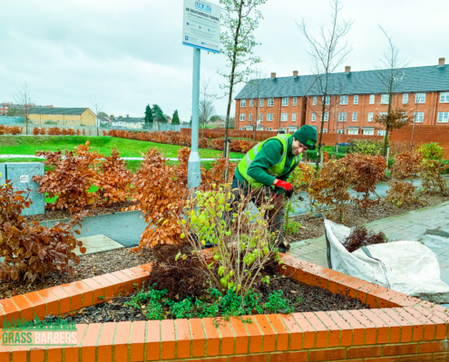 Landscape Maintenance Project in Mitcham CR4