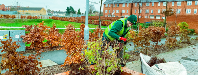 Landscape Maintenance Project in Mitcham CR4