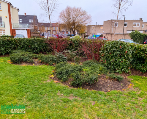 Landscape Maintenance Project in Mitcham CR4