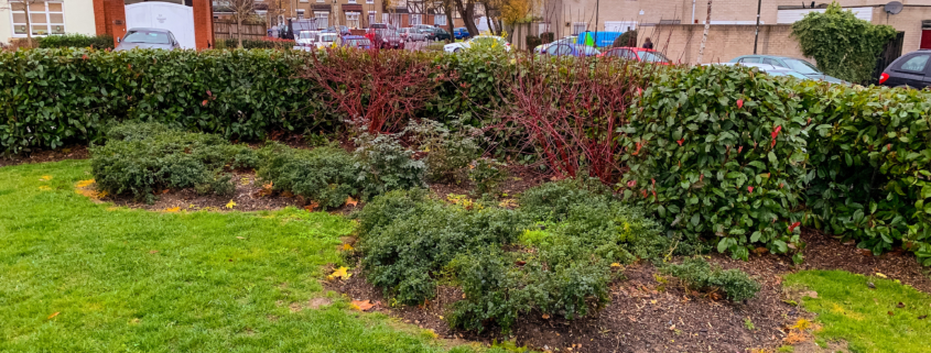 Landscape Maintenance Project in Mitcham CR4