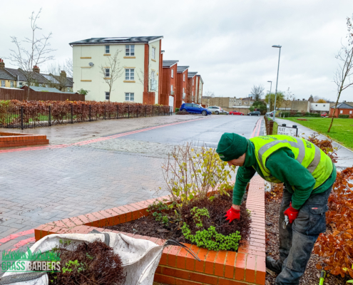 Landscape Maintenance Project in Mitcham CR4