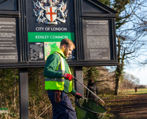 Grass Barbers gardening services in Kenley CR8