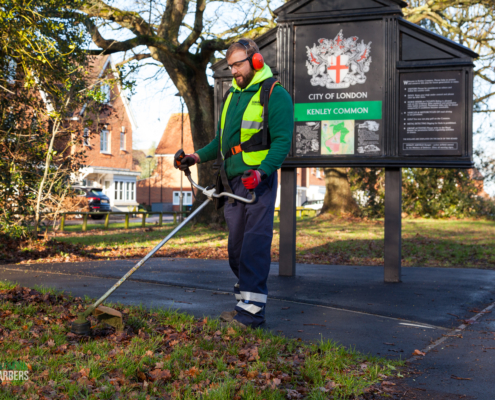 Grass Barbers gardening services in Kenley CR8