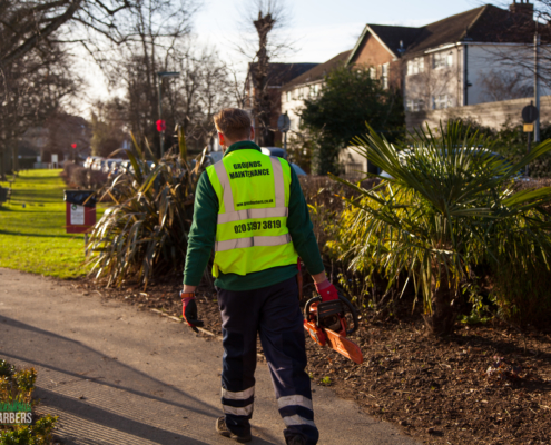 GrassBarbers gardening services in Banstead SM7