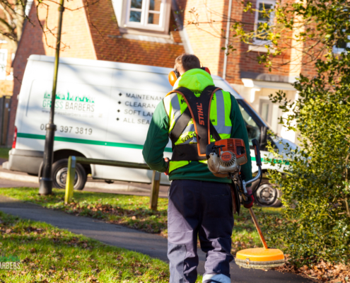 Grass Barbers gardening services in Kenley CR8