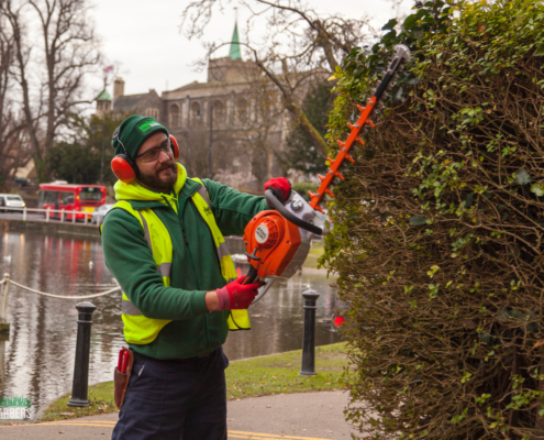 Gardening Services In Carshalton By Grass Barbers