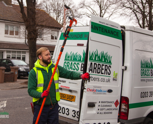 Gardening Services in Wallington SM6