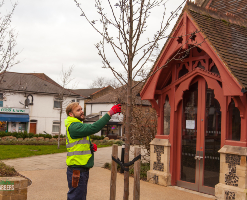 Gardening Services in Wallington SM6