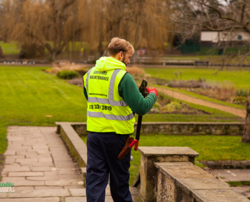 Gardening Services in Wallington SM6