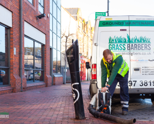 Grass Barbers Gardening Services in Purley CR8