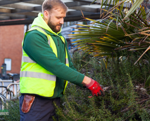 Grass Barbers Gardening Services in Purley CR8