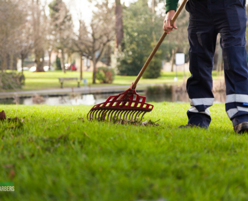 Gardening services in Sanderstead CR2 by Grass Barbers