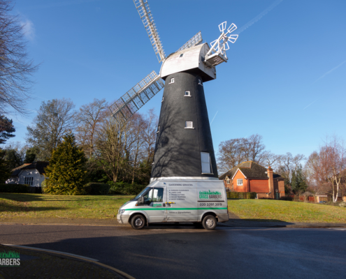 Gardening services in Shirley CR0 by Grass Barbers