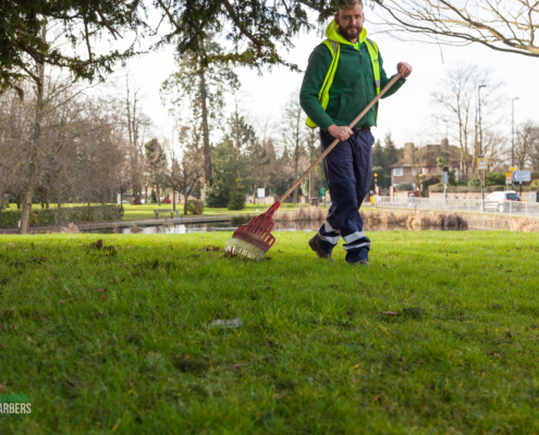 Gardening services in Sanderstead CR2 by Grass Barbers