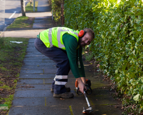 Gardening Services in West Wickham BR4 by Grass Barbers