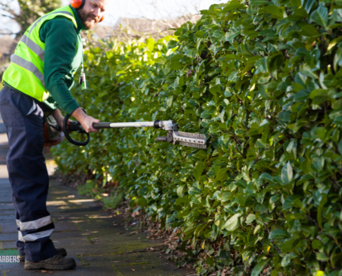 Gardening Services in West Wickham BR4 by Grass Barbers