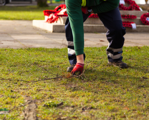 Gardening services in Warlingham CR6 by Grass Barbers