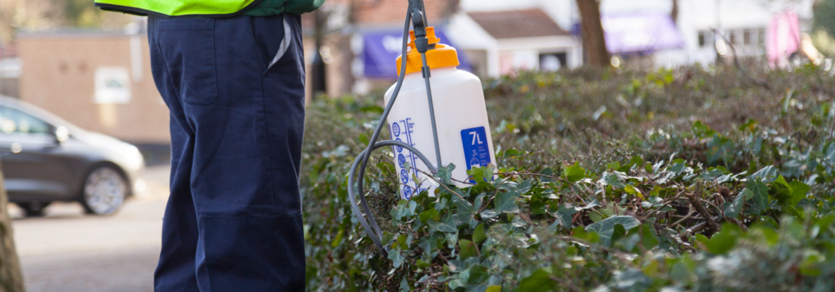 Gardening services in Selsdon CR2 by Grass Barbers