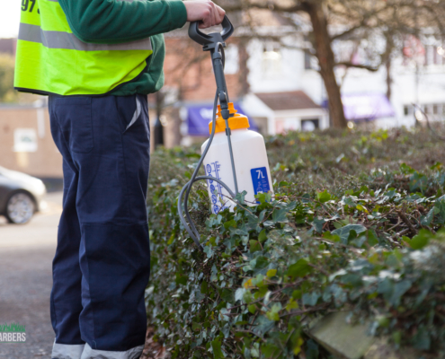 Gardening services in Selsdon CR2 by Grass Barbers