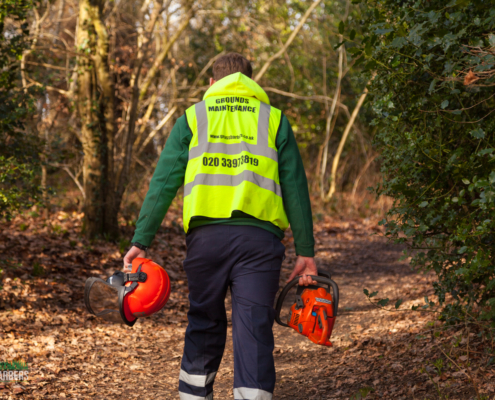 Gardening services in Selsdon CR2 by Grass Barbers