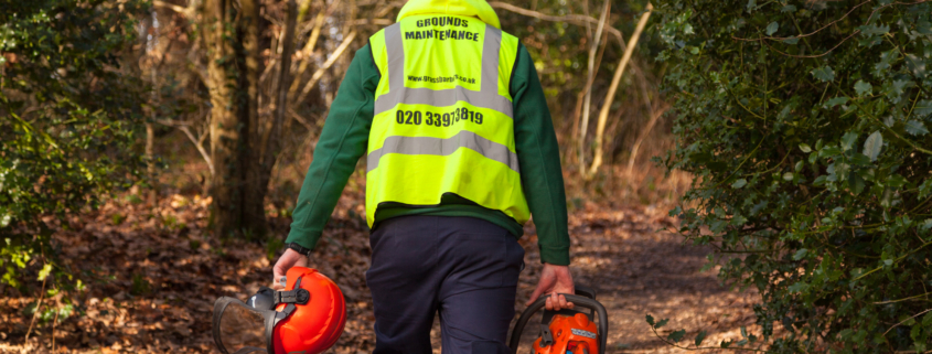 Gardening services in Selsdon CR2 by Grass Barbers